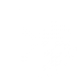 rocket_supreme_logo_white_00